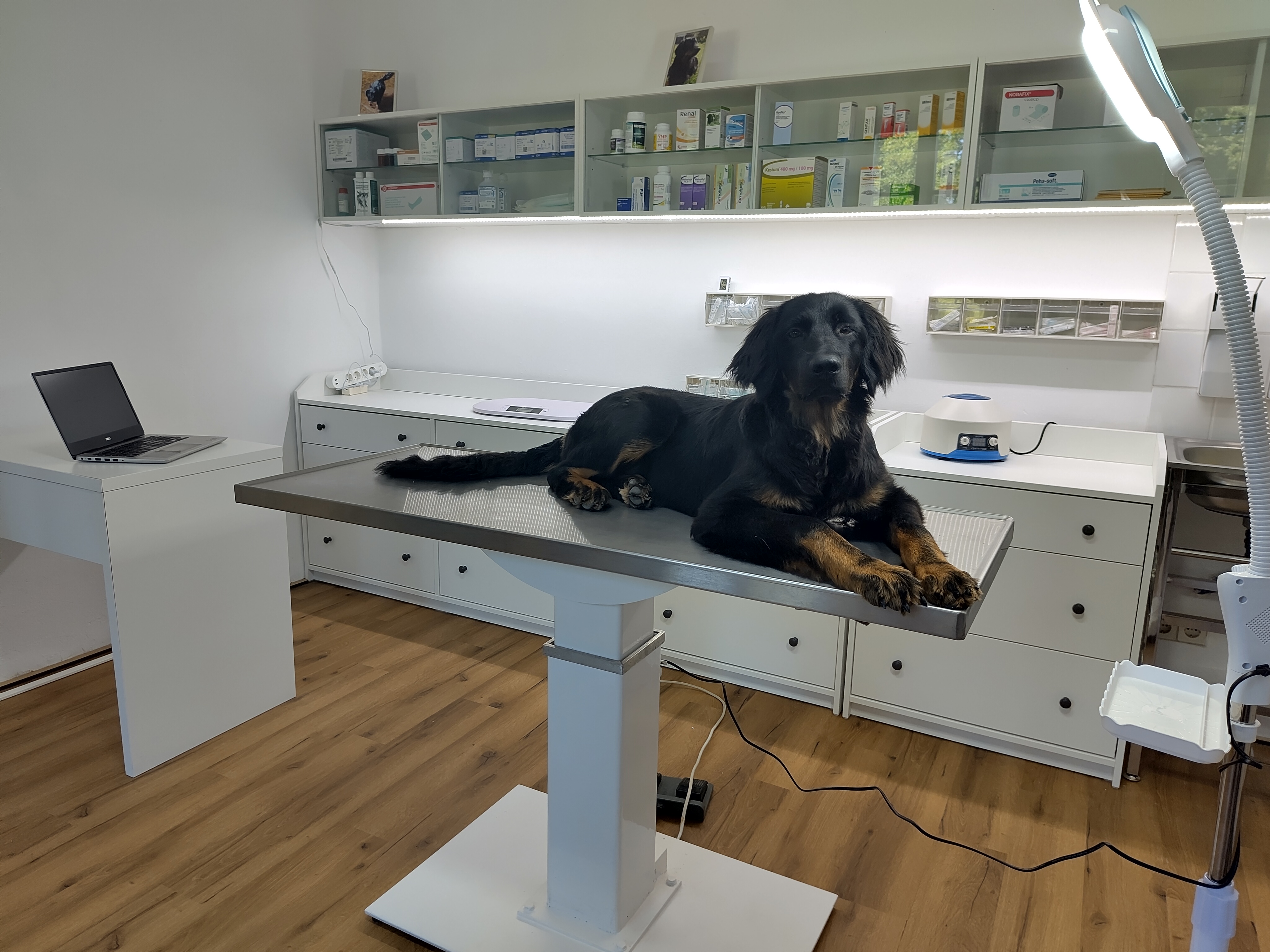 Team der Tierarztpraxis